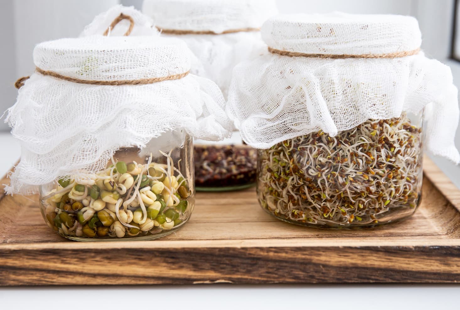 frascos con legumbres germinadas