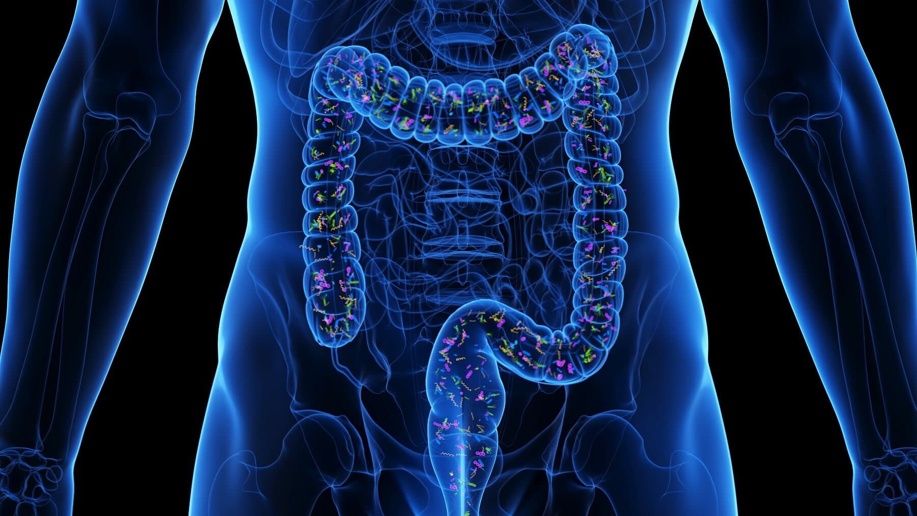 representación digital de los microbiomas intestinales